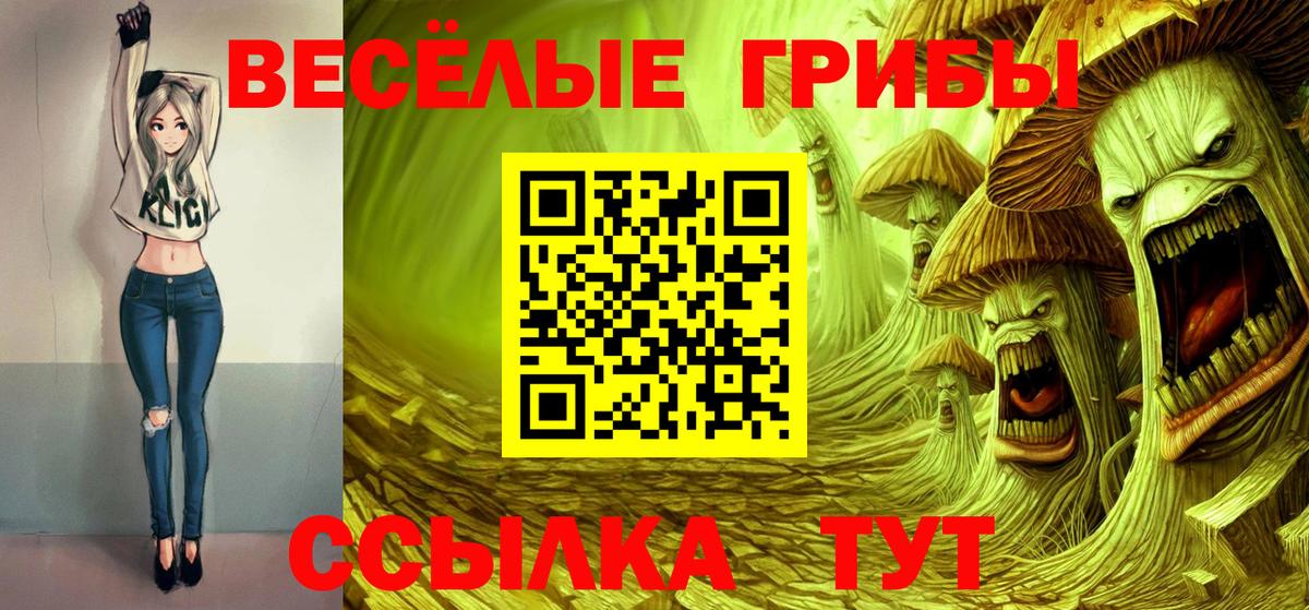 Псилоцибиновые грибы Psilocybe Осинники