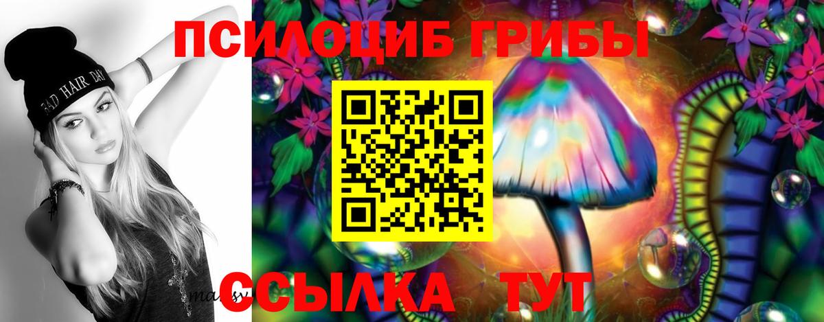 Осинники  Галлюциногенные грибы MAGIC MUSHROOMS  сколько стоит  Вход с VPN 